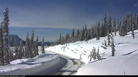 mt rainer webcams|Webcams in Mount Rainier National Park